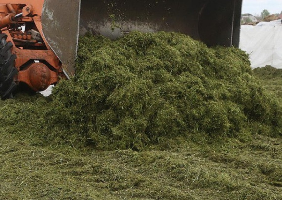 сельхозтехника, убока травы.jpg