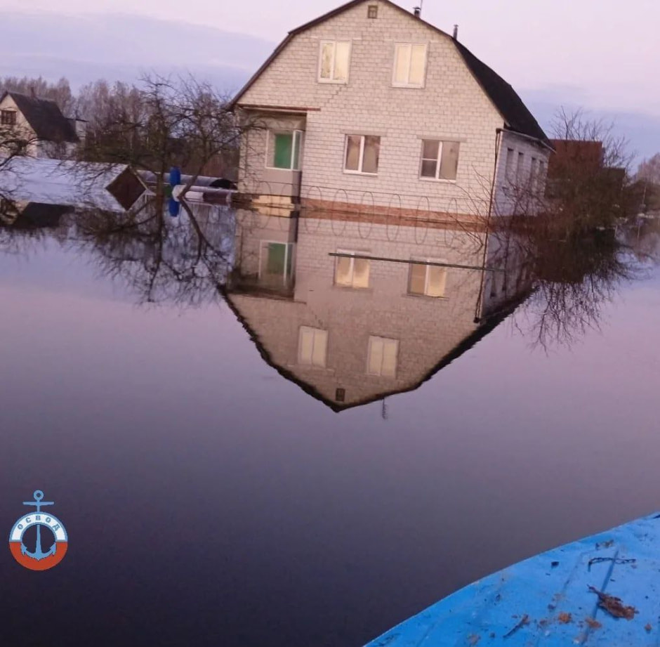 Гомель. ОСВОД 3.jpg