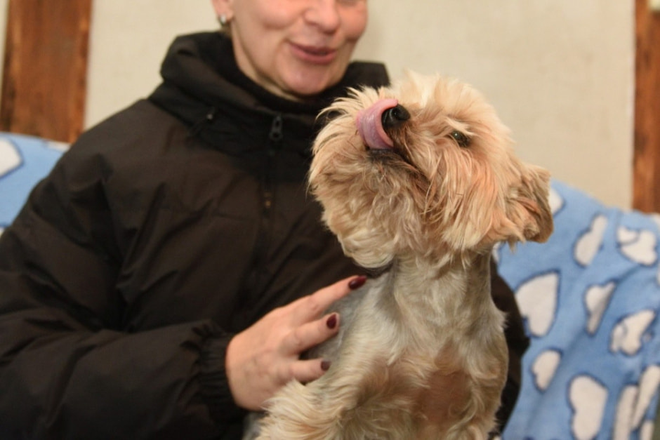 Зоогостиница 4 лапы 8.jpg