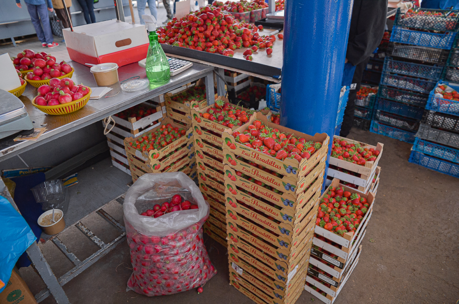 Две семьи выращивают огурцы и клубнику 25.png