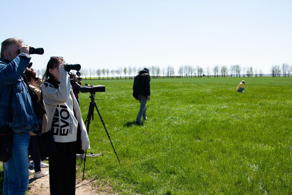 Наблюдаем за сусликами 10.jpg