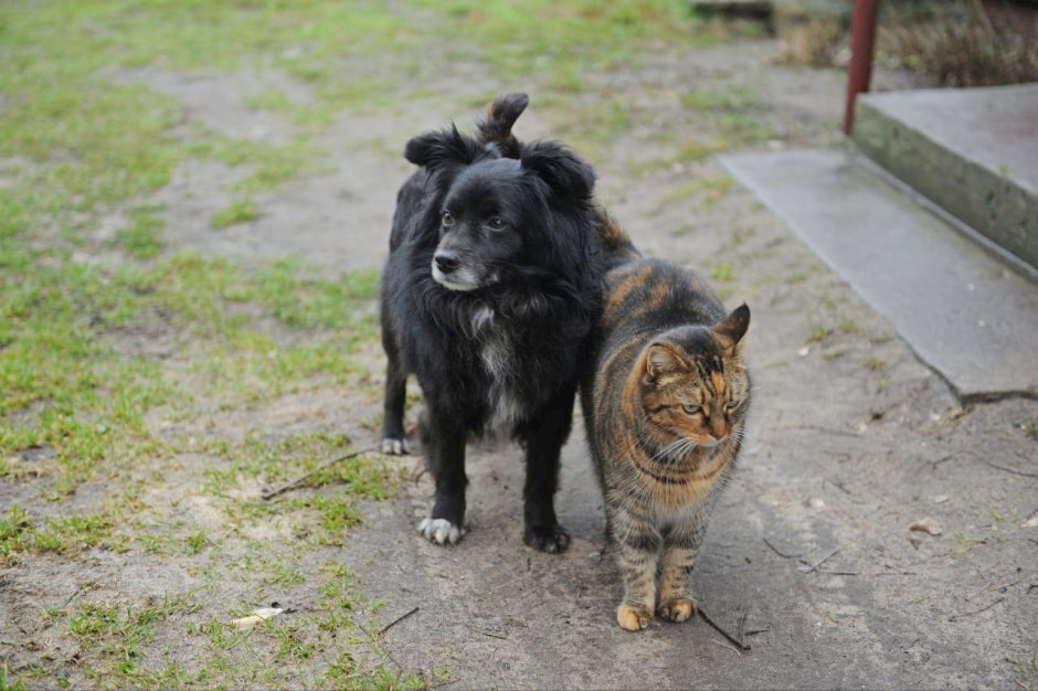 Командировки Смартпресс 17.jpg