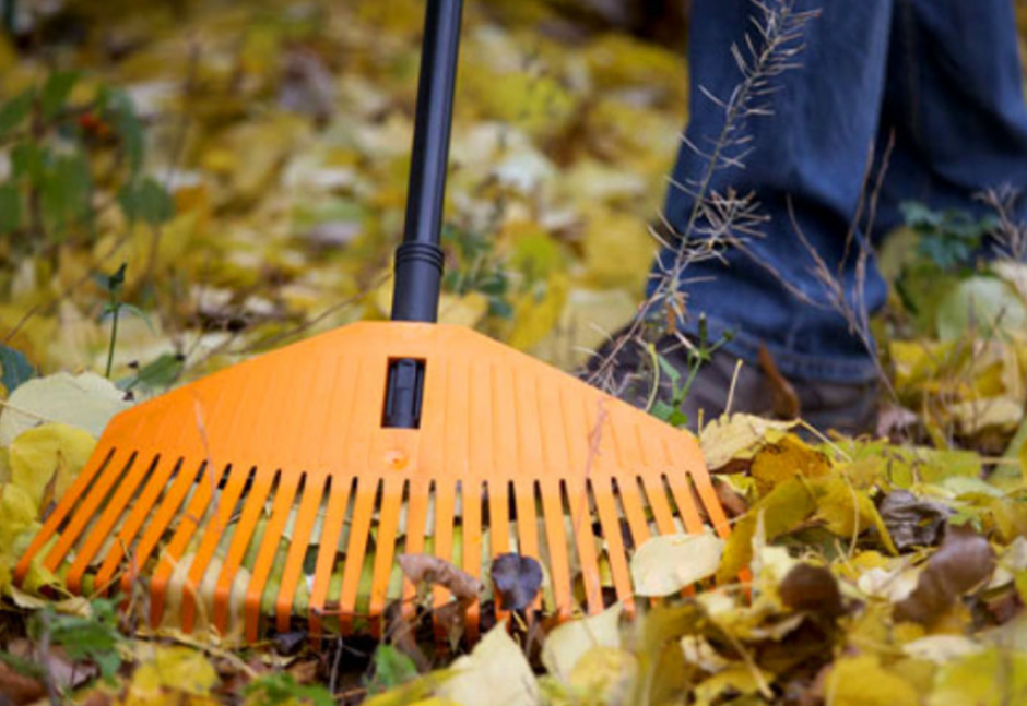 уборка листьев.png