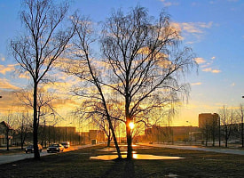 Белгидромет срочно объявил оранжевый уровень опасности. К чему приготовиться белорусам?