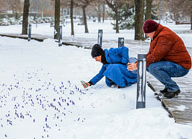В середине апреля земля под снегом? Беларуси грозит “барическое образование” холода и “зависание” циклона на неделю
