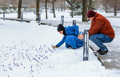 В середине апреля земля под снегом? Беларуси грозит “барическое образование” холода и “зависание” циклона на неделю