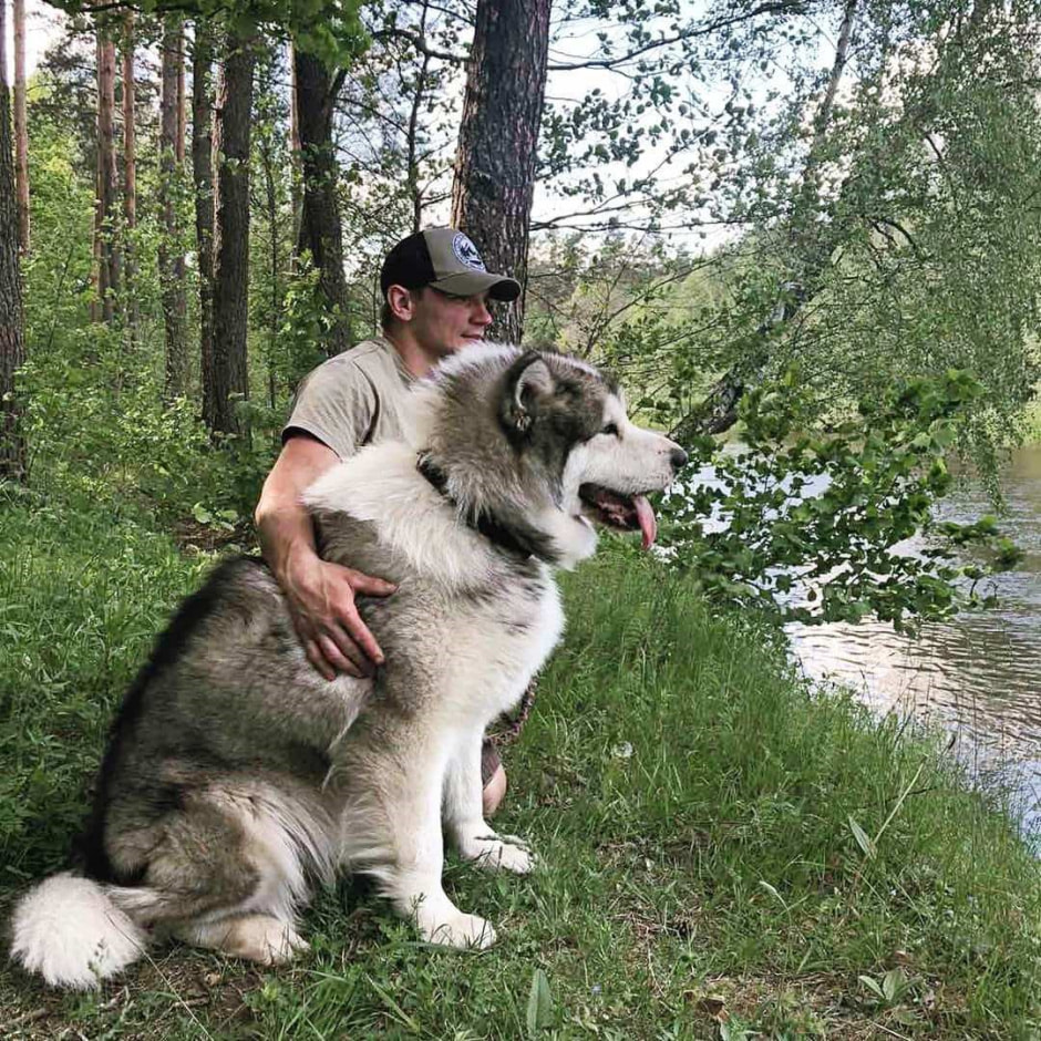 История Дениса Богдана 11.jpg