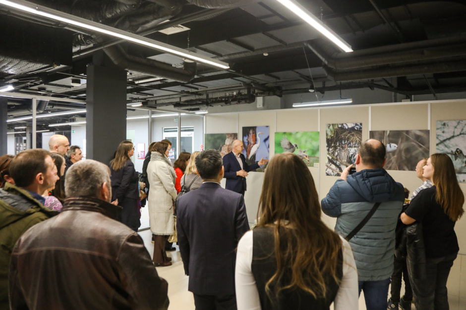 фотовыставка Дикая природа Беларуси 15.jpg