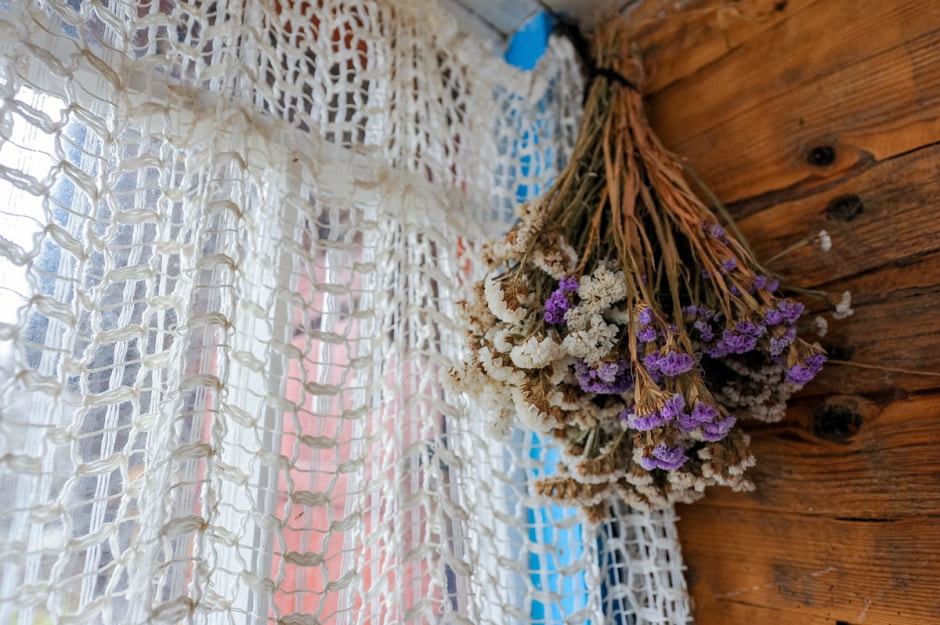 Деревня Ушковица 15.jpg