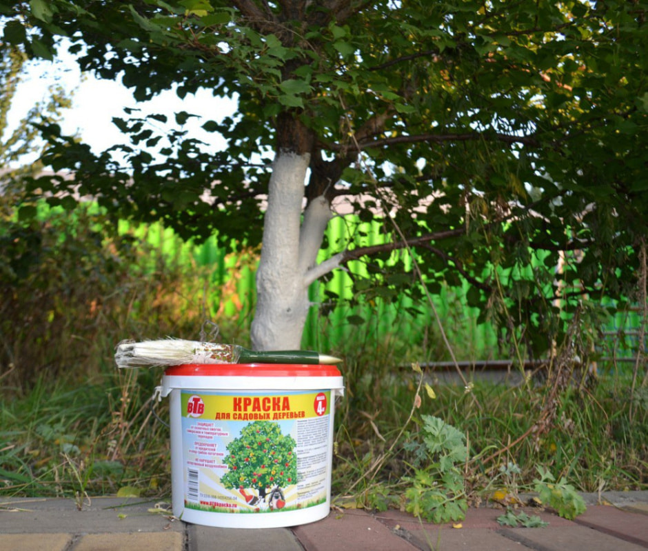 photo_2024-12-01_20-30-05.jpg photo_2024-12-01_20-30-05.jpg