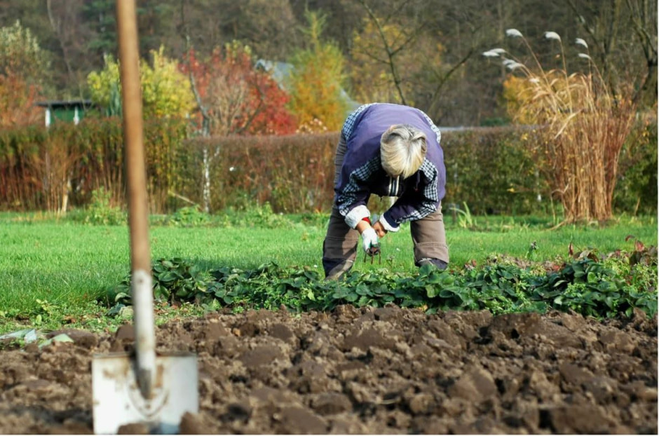 photo_2025-10-28_18-12-46 (2).jpg