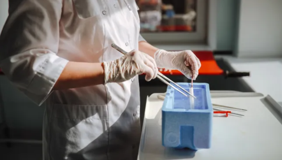 технологии