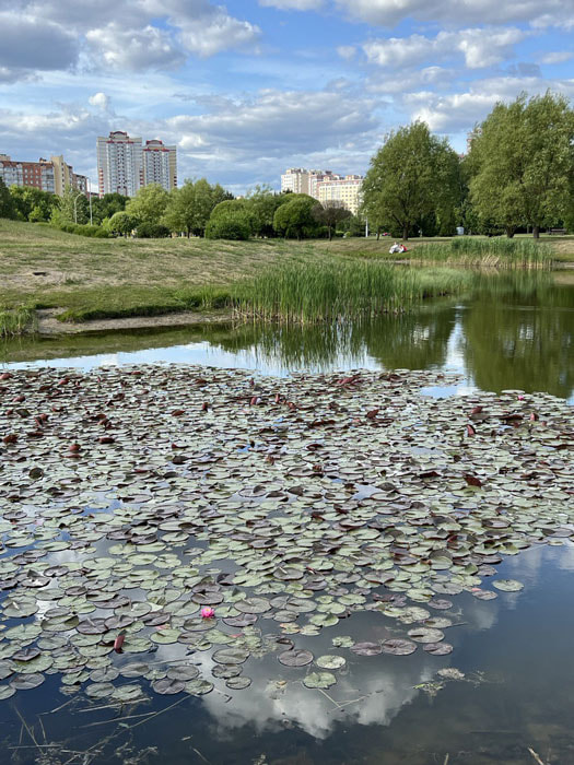 kyvsh1-1.jpg kyvsh1-1.jpg