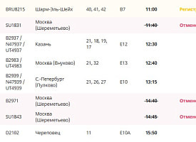 Ближайшие рейсы Минск – Шереметьево отменили после падения обломков БПЛА