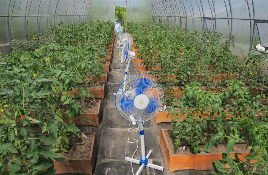 photo_2025-07-05_09-03-15 (2).jpg