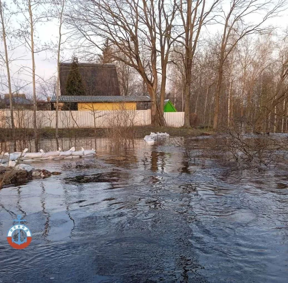 Гомель. ОСВОД 4.jpg