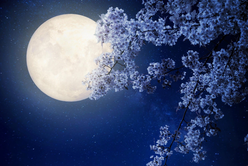 Лунный календарь садовода-огородника 1.jpg