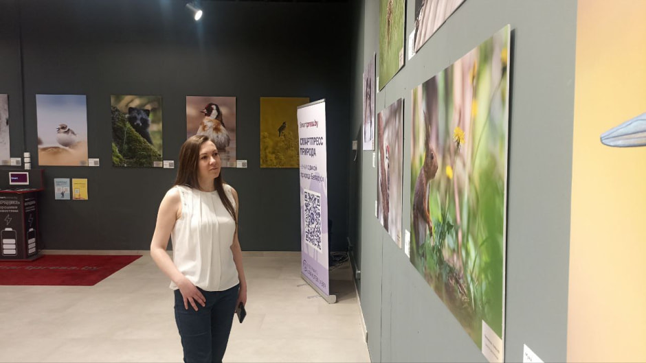 Выставка Дикая природа 10.jpg
