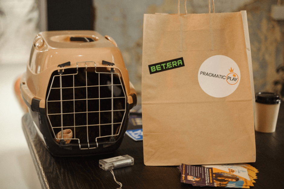 27 котов и 5 собак нашли хозяев — 