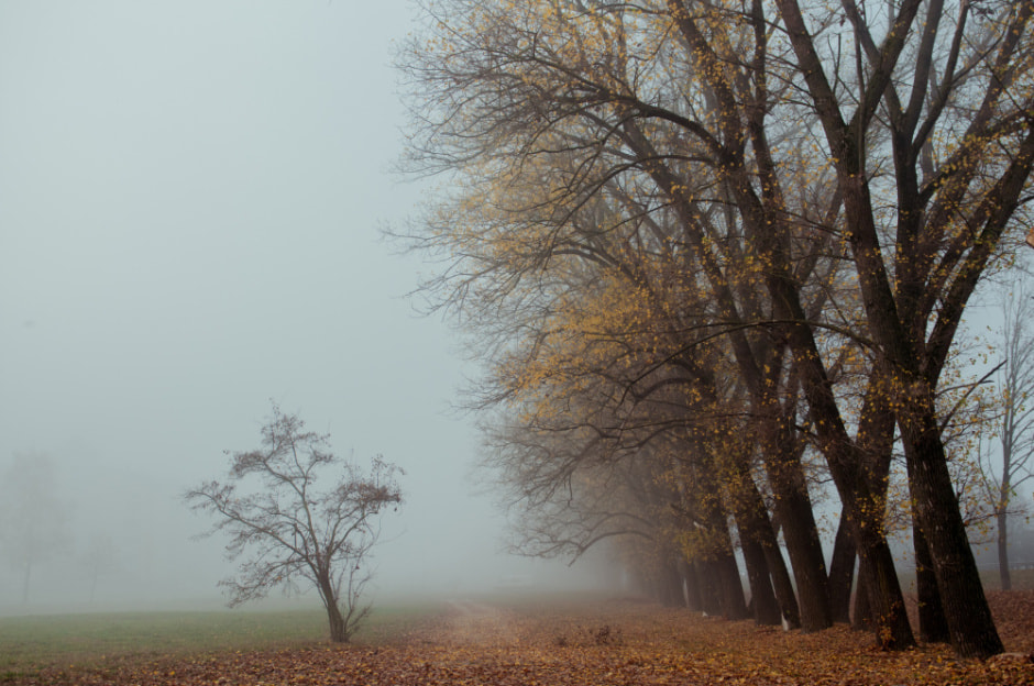 Мягкая осень Синоптик Рябов поделился прогнозом на неделю — с 7 по 13 октября.jpg Мягкая осень Синоптик Рябов поделился прогнозом на неделю — с 7 по 13 октября.jpg