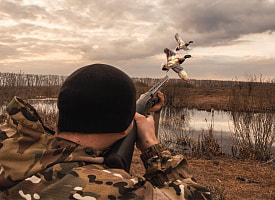 В Беларуси с 14 марта разрешили охоту более чем на 10 видов птиц