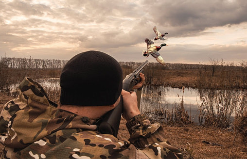 В Беларуси с 14 марта разрешили охоту более чем на 10 видов птиц