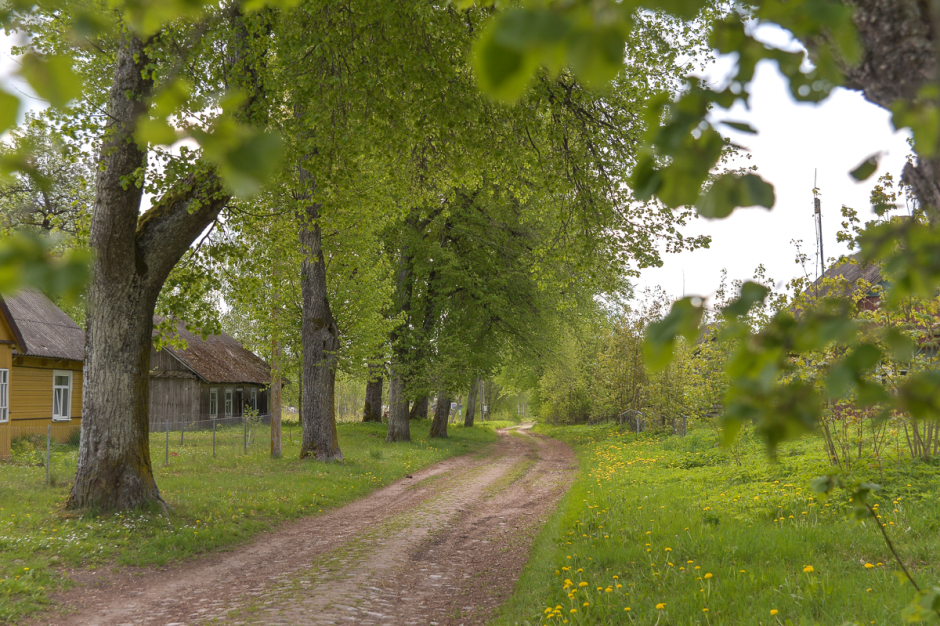 Белоруска в Шеметово 17.png