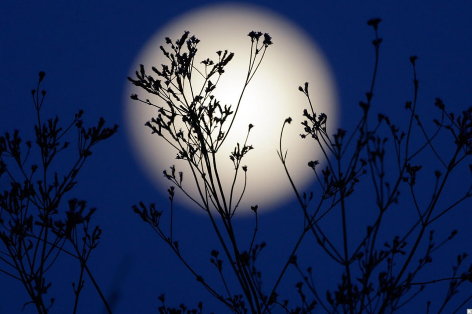 растущая луна.jpg