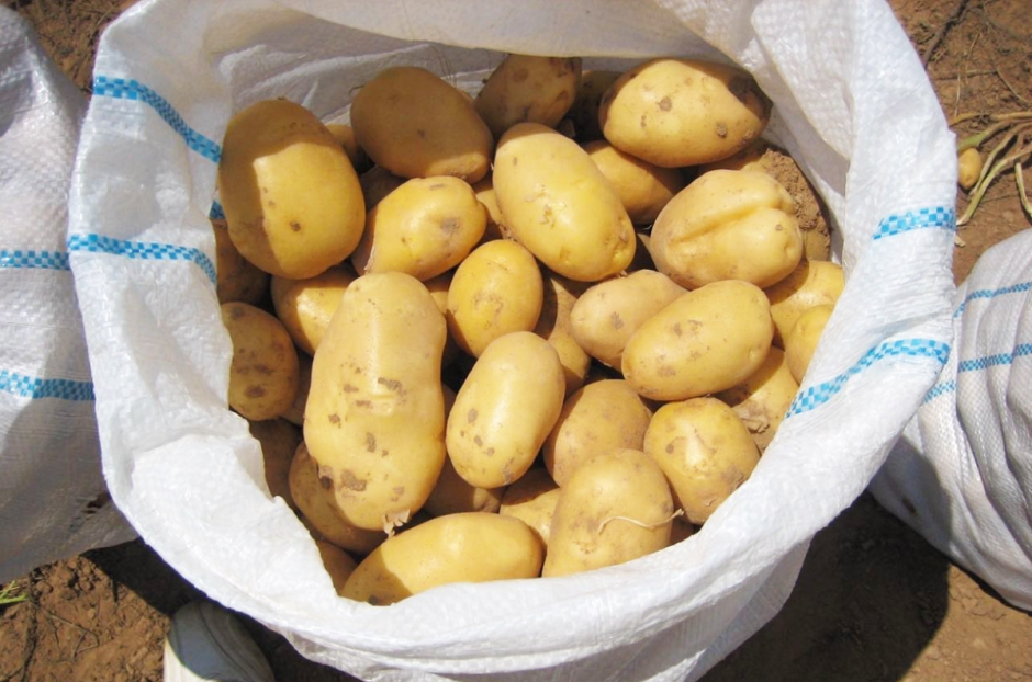 картофель в мешке.png