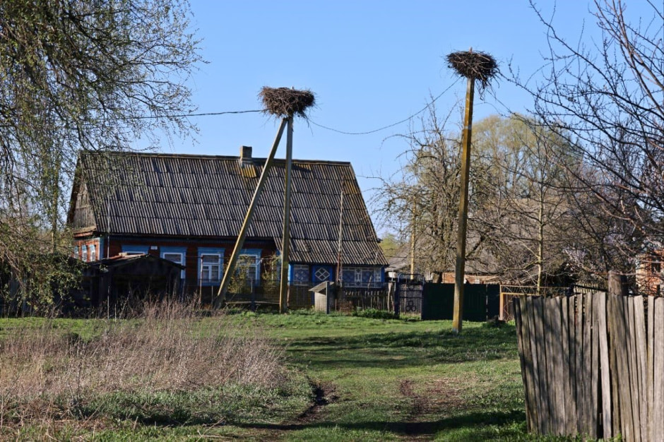 Аисты в деревне Малешев 17.jpg