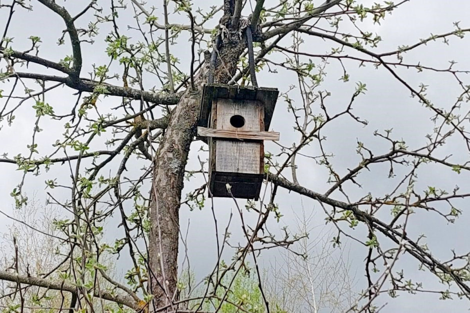 Семья Епиховых и их дача 30.jpg