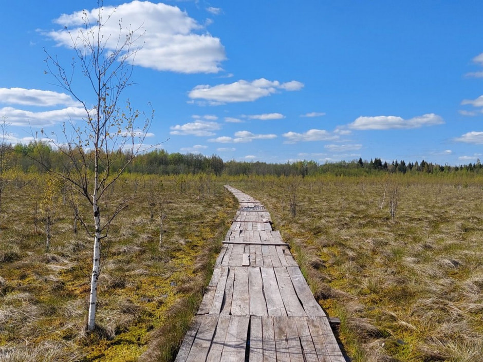 Поход на Ельню 19.jpg