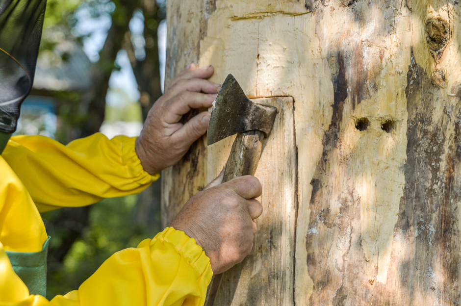 Пчеловод с Полесья 8.png