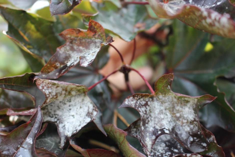 photo_2025-10-29_15-53-06 (4).jpg