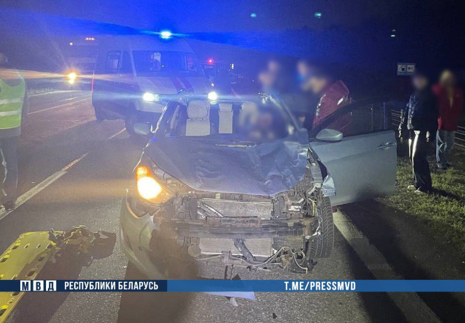 ДТП с лосем.jpg