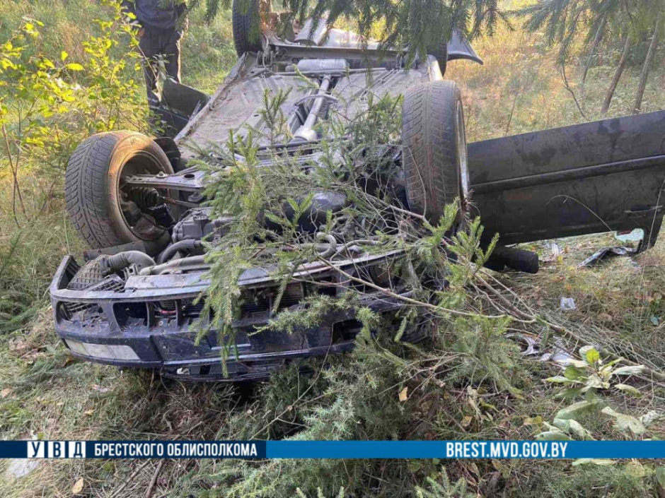 В Брестской области из-за лося перевернулся Volkswagen (2).jpg