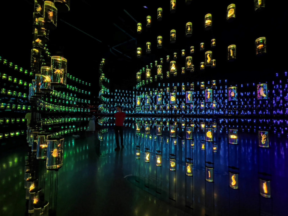 Куда пойти в Дубае с детьми 15.jpg