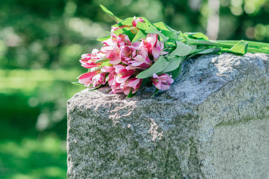 Камень, цветы.png