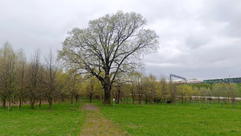 Топ-5 экотроп Минска 8_Белая дача.jpg Топ-5 экотроп Минска 8_Белая дача.jpg