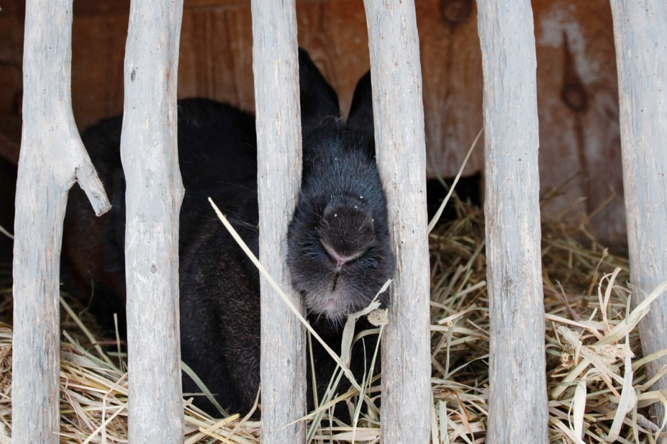 Туристическая деревня Белые луга 21.jpg