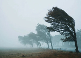 Резкая 8-балльная опасность на 12 часов в этой части Беларуси. Что покажет погода, объяснили синоптики