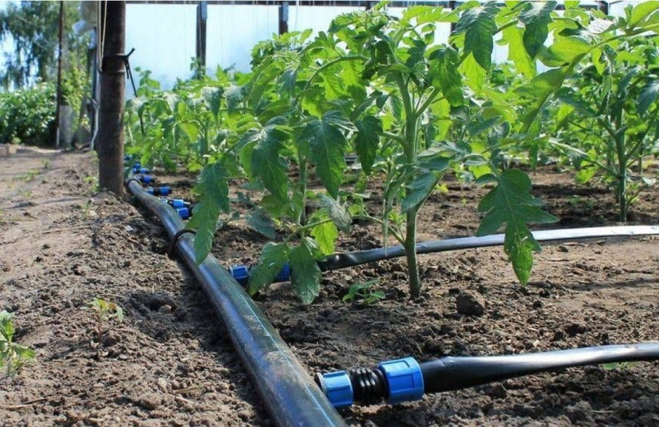 капельный полив