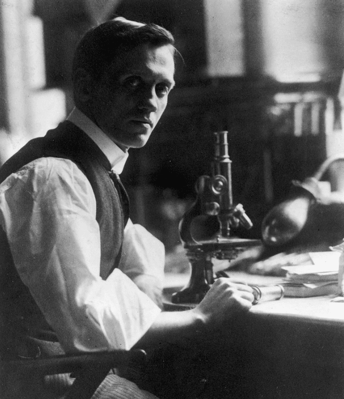 Александр Флеминг Александр Флеминг