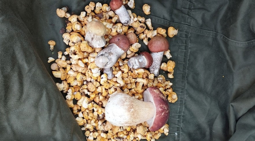 fwJ4BHqd7ZU.jpg fwJ4BHqd7ZU.jpg