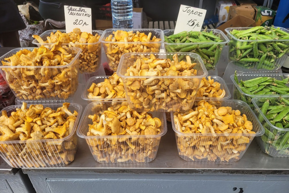 лисички в контейнерах