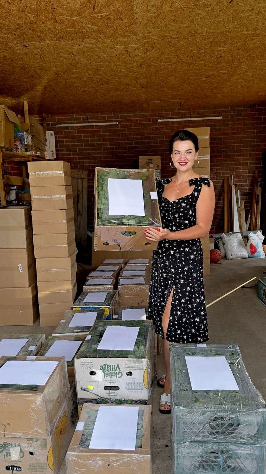 8-Саженцы клубники упакованы и готовы к отправке.jpg