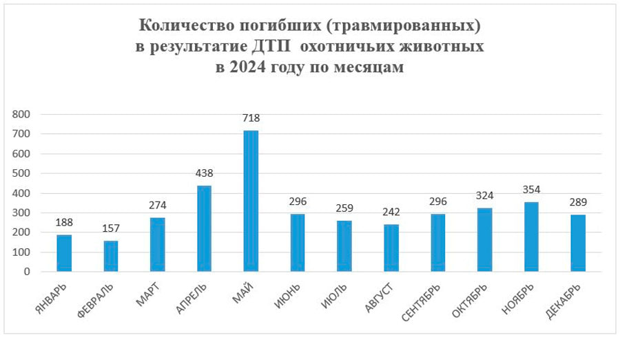 дтп_животные.jpg дтп_животные.jpg