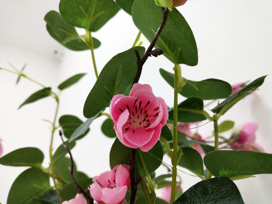 Обзор Honor X9a_фото 0.jpg