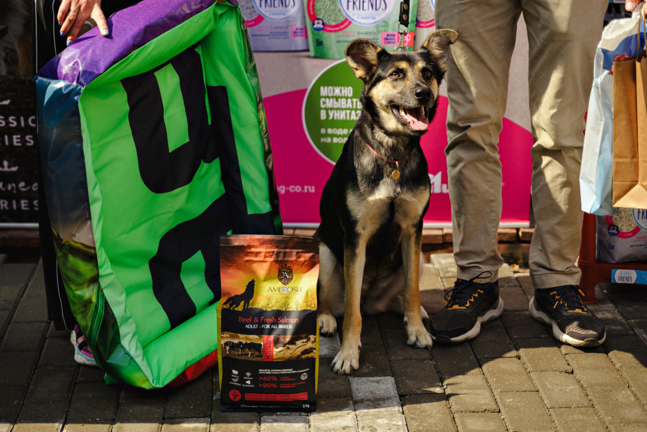 Главное фото.jpg Главное фото.jpg