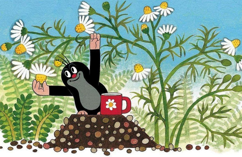 Крот мультик 2.jpg Крот мультик 2.jpg